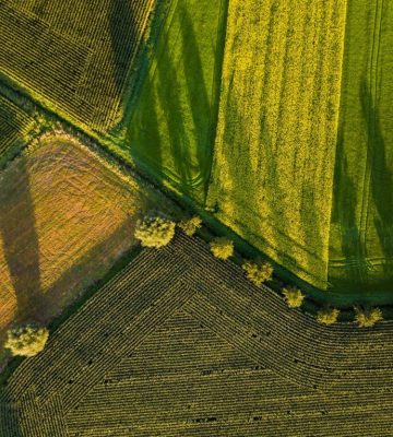 yulian-alexeyev-xDLEUTWCZdc-unsplash